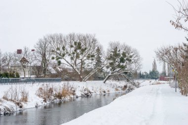 Polonya 'nın Pruszcz Gdanski kentinde kış mevsiminde Radunia Nehri.