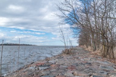Vistula Nehri 'nin kıyısından Baltık Denizi' ne rüzgarlı bir günde.