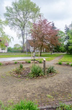 Cedry Wielkie, Polonya - 16 Mayıs 2021: Bağımsızlık meşesi Polonya 'nın bağımsızlığını geri kazanmasının 102. yıldönümünde ekildi.