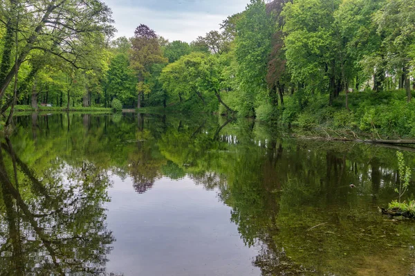 Green Public Park Pond Poland — Stock Photo, Image