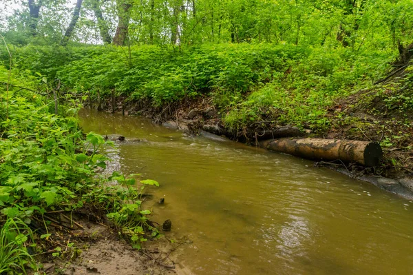 Polonya 'da Wojanowo' da küçük bir nehir var..