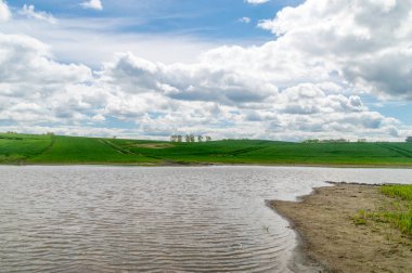 Polonya 'da yeşil tahıl tarlasında sağanak yağmurdan sonra su.
