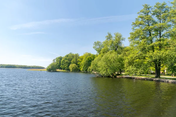 Blick Auf Den See Trzesiecko Und Bäume Ufer Szczecinek Polen — Stockfoto