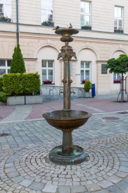 Opole, Polonya - 4 Haziran 2021: Eski Opole kasabasında at içicisi.