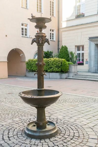 Opole, Polonya - 4 Haziran 2021: At içicisi.