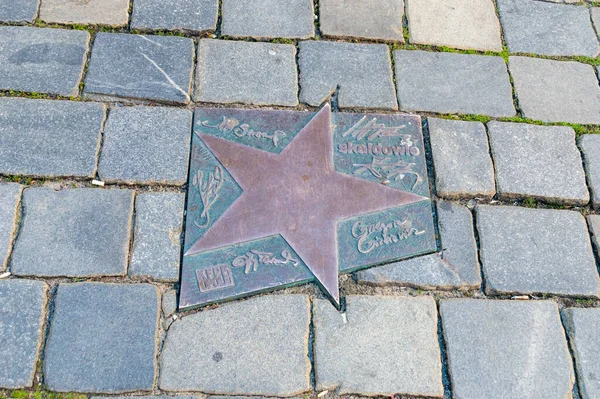 Opole, Polonya - 4 Haziran 2021: Opole Şöhret Yolu 'nda Skaldowie Yıldızı Aleja Gwiazd Festivali Polskiej Piosenki olarak bilinir. Skaldowie rock grubu 1960 'lardan 1980' lere kadar özellikle popülerdi..