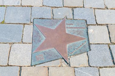 Opole, Polonya - 4 Haziran 2021: Opole 'de Aleja Gwiazd Festivali Polski Piosenki olarak bilinen Basia Trzetrzelewska Yıldızı. Barbara Stanislawa Trzetrzelewska Polonyalı şarkıcı-söz yazarı.