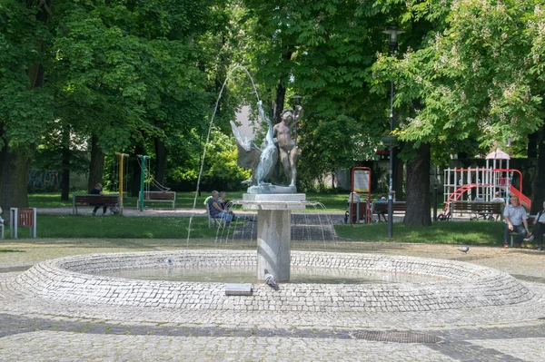 Gliwice Polonia Junio 2021 Fuente Niño Con Cisne —  Fotos de Stock