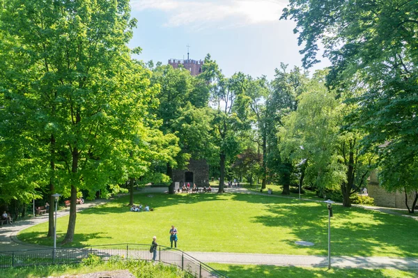 Cieszyn Poland June 2021 Court Cieszyn Castle Hill — Stock Photo, Image