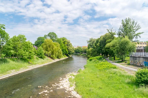 Cieszyn Polska Czerwca 2021 Polsko Czeska Granica Rzece Olzie Cieszynie — Zdjęcie stockowe