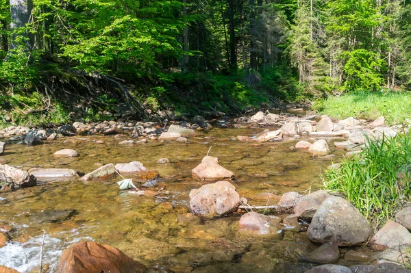 Rocky Patak Czarna Wiselka Forrás Patak Vistula Folyó — Stock Fotó