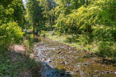 Polonya 'nın Wisla şehrinde yaz mevsiminde Czernianskie Gölü yakınlarındaki vistül nehrinin başlangıcı.