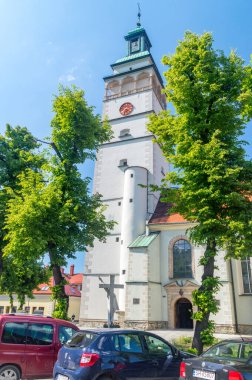 Zywiec, Polonya - 6 Haziran 2021: Kutsal Bakire Meryem 'in Doğumu Katedrali. Ağaçlar arasındaki kulede görünüm.