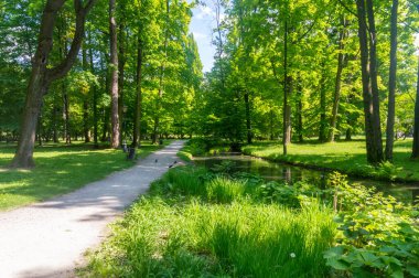 Polonya 'nın Zywiec kentindeki Castle Park' ta yaz manzarası.