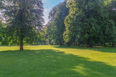 Slovakya 'nın Zilina kentindeki Budatinsky parkında güzel bir park sahnesi.