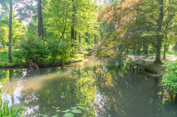 Pond Castle Park Zywiec Poland — Stock Photo, Image