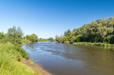 Estuary Wieprz Nehri Güneşli bir günde Vistula Nehri 'ne.