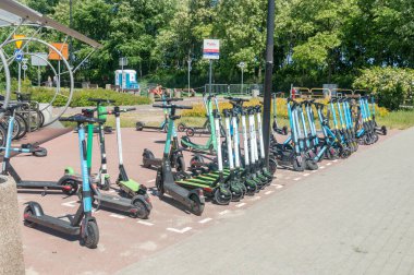 Gdansk, Polonya - 17 Haziran 2021: Bir sürü kiralık elektrikli scooterla kürek.
