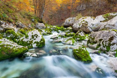 Dağ dere sonbahar, Julian Alps, İtalya