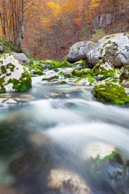 Dağ dere sonbahar, Julian Alps, İtalya