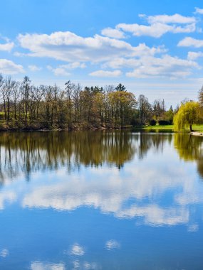 Pond Marvanek, Çek Cumhuriyeti 'nin İlkbaharında Prag yakınlarında Ricany kasabasında ağaçlarla çevrili bulutların yansımalarıyla