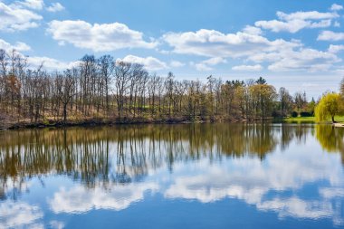 Pond Marvanek, Çek Cumhuriyeti 'nin İlkbaharında Prag yakınlarında Ricany kasabasında ağaçlarla çevrili bulutların yansımalarıyla