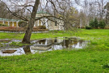 İlkbaharda Çek Cumhuriyeti 'nin kaplıca kasabası Frantiskovy Lazne' de bahar mevsimi olan Natalie 'nin ağaç altında inşa edilmesinin sudaki yansıması.