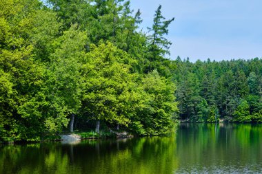 Prag yakınlarındaki Jevany 'de sularda yansıması olan ağaçlarla çevrili huzurlu bir gölet.