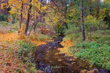 Sonbaharda Prag yakınlarındaki Merkez Bohemya 'da Udoli Mnichovky