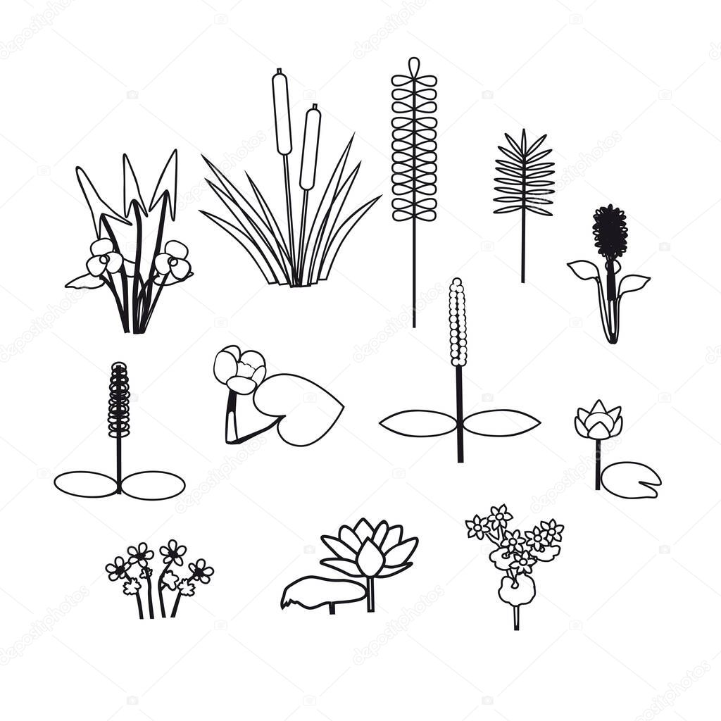 Outline silhouettes of water flowers and plants isolated.