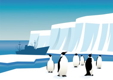 Antartika'da penguenler
