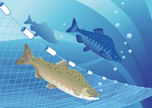 Peixes de salmão corcunda e redes de pesca —  Vetores de Stock