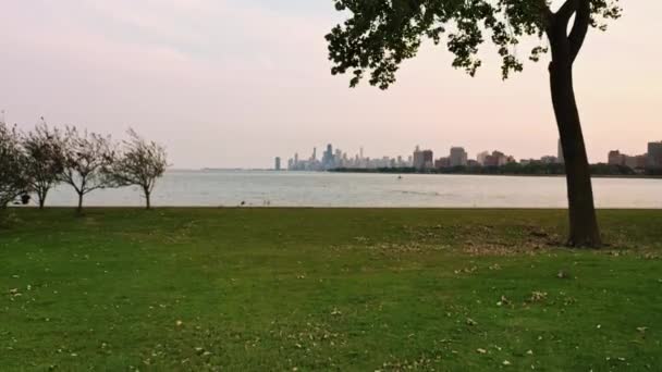 Hermosa Vista Del Horizonte Chicago Con Árbol Alto Primer Plano — Vídeo de stock