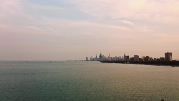 Panning Aerial Panoramic Shot Large Tree Foreground Covering Chicago City — Stock Video