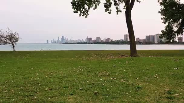 Снимки Чикаго Озера Мичиган Крупным Планом Травы Листьев Переднем Плане — стоковое видео