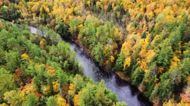 Bakır Şelaleleri Parkı 'ndaki Bad River üzerinde uçuşan güzel doğa havası. Rengarenk sarı ve turuncu yapraklar, sonbaharda Mellen, Wisconsin' de nehir kıyılarını çevreleyen yeşilliklerle karışıyor..