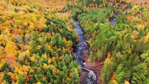 Incroyable vol aérien au-dessus de la rivière Bad et une passerelle piétonne vers un virage en forme de fer à cheval avec un feuillage automnal coloré bordant les rives de la rivière en automne au parc Copper Falls. — Video