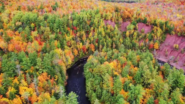 Krásné letecké létání přes Bad River v Copper Falls parku s barevnými zelené, červené, žluté a oranžové podzimní listí lemující břehy řeky na podzim v Mellen, Wisconsin. — Stock video