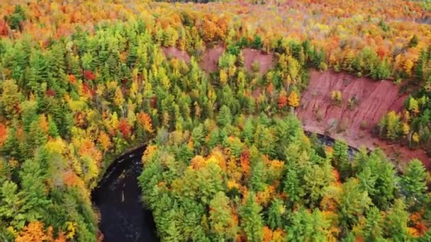 Vackra antenn flyger över träd och Bad River mot floden böja och branta röda klippor vid Copper Falls park med färgglada gröna, röda, gula och orange falla lövverk på hösten i Mellen Wisconsin — Stockvideo