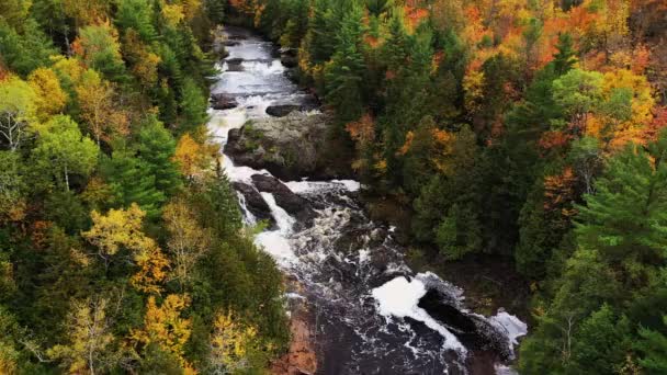Krásné podzimní vzdušné létání nad Horními bramborovými vodopády s těžkým průtokem vody kaskádovitým nad velkými skalními útvary a žlutě oranžovými a zelenými listnatými a věčně zelenými stromy lemujícími břehy řeky. — Stock video