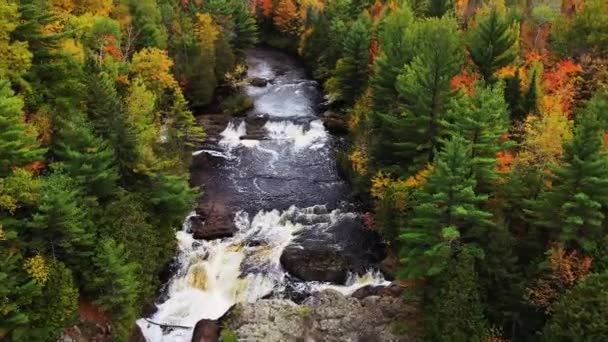 Krásné podzimní vzdušné létání nad Horními bramborovými vodopády s těžkým průtokem vody kaskádovitým nad velkými skalními útvary se žlutě oranžovými a zelenými listnatými a věčně zelenými stromy lemujícími břehy řeky. — Stock video