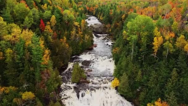 Prachtige herfst antenne vliegen boven de Aardappel Rivier tussen de kleurrijke boom gebladerte langs de rivier met zowel Lower en Upper Potato River Falls watervallen cascades en stroomversnellingen hieronder. — Stockvideo