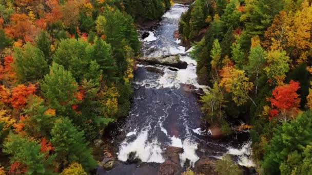 Une belle vue aérienne descendant la rivière de la pomme de terre tombe sur les cascades supérieures, les rochers et la cascade avec des feuilles d'arbres de couleur verte, jaune et orange ou un feuillage d'automne bordant les rives de la rivière en automne. — Video