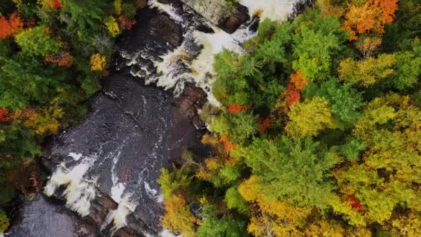 Beau regard d'automne vers le bas vol aérien au-dessus de la rivière Potato et Upper Potato Falls avec écoulement d'eau lourde en cascade sur les grandes formations rocheuses avec des arbres jaunes, orange, rouges et verts sur la rive de la rivière — Video