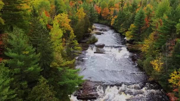 Lindas antenas de outono voando acima do rio da batata e olhando para baixo em cascatas e corredeiras acima de Upper Potato Falls com árvores amarelas, laranja, vermelhas e verdes que revestem as margens do rio em Wisconsin. — Vídeo de Stock