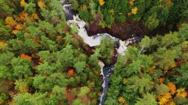 Mooie antenne met uitzicht op Brownstone Falls bij Bad River en Tyler Forks kruising bij Copper Falls met kleurrijke herfst gebladerte en evergreens langs de oevers van de rivier in de herfst in Mellen, Wisconsin. — Stockvideo