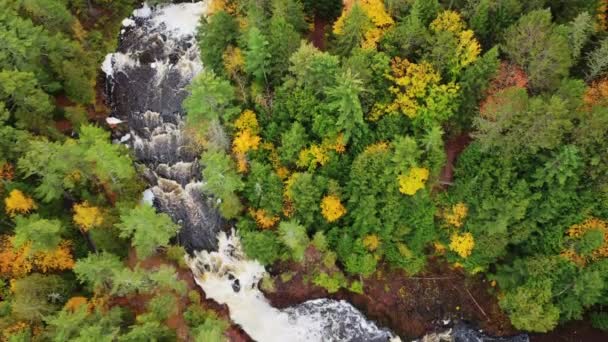Lindo olhar para baixo aéreo sobrevoando Brownstone Falls na junção do Tyler Forks e Bad river com folhagem de queda colorida e rocha vermelha que reveste as margens do rio no outono no parque Copper Falls. — Vídeo de Stock