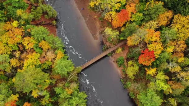 Hermosa antena flotando sobre un puente peatonal que cruza el río Bad en Copper Falls con colorido follaje de otoño verde, rojo, amarillo y naranja que bordea las orillas del río en otoño en Mellen, Wisconsin — Vídeos de Stock