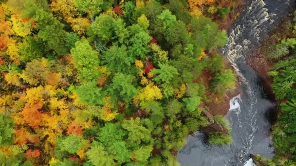 Beau regard vers le bas vol aérien en diagonale à travers une formation rocheuse rouge sur la rivière Bad avec feuillage d'automne coloré et roche rouge bordant les rives de la rivière en automne au parc Copper Falls dans le Wisconsin. — Video