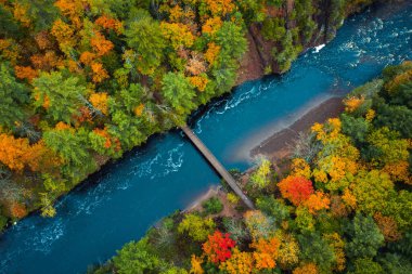 Güzel seyahat ya da turizm tarzı Copper Falls Parkı 'ndaki Bad River nehri boyunca uzanan yaya köprüsüne bakın. Sonbaharda Mellen, Wisconsin' de nehir kıyısında renkli yapraklar asılıyor..